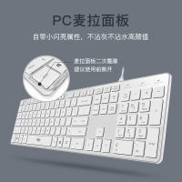 愛(ài)國(guó)者(aigo) V500貝母白鍵盤(pán) 有線鍵盤(pán) 靜音鍵盤(pán) 105鍵PC麥拉面板筆記本電腦一體機(jī)全尺寸U口 貝母白