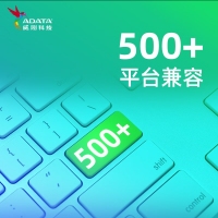 威剛 (ADATA) SU650 256G SATA固態(tài)硬盤 高速讀寫 筆記本 臺式機拓展 SATA3.0接口