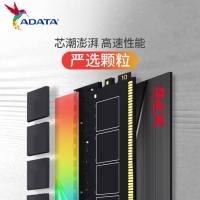 威剛龍耀DT50 64G-3200(32GX2)RGB燈條（鈦灰）套條馬甲