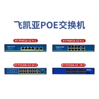 飛凱亞 POE百兆交換機(jī)KY-P0802-GZ 8口 52V