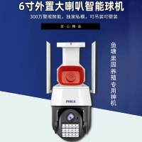 飛凱亞KY-Q6618LB 4MM 300萬 6寸智能外置喇叭星光球機