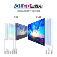 飛利浦（PHILIPS）27E1N8900 27吋OLED 4K HDR400 0.1ms Type-C專業(yè)高端設(shè)計(jì)顯示器