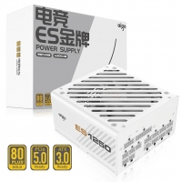 愛國者 電競系列 ES1250 金牌全模組白色 額定1250W （ATX3.0/原生PCIE5.0支持4090）