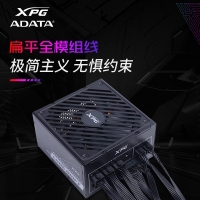 威剛（ADATA）XPG魔核II SE750W黑色電源 金牌全模組臺式電腦電源atx3.0電源支持4090
