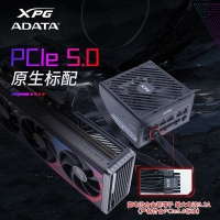 威剛（ADATA）XPG魔核II SE750W黑色電源 金牌全模組臺式電腦電源atx3.0電源支持4090