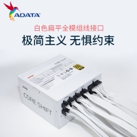 威剛（ADATA）XPG魔核II 750W 白【ATX3.0】電源金牌全模組全日系電容臺式電腦主機(jī)游戲電競白金效能智能溫控