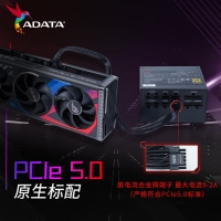 威剛（ADATA）XPG魔核II 850W 黑【ATX3.0】電源金牌全模組全日系電容臺(tái)式電腦主機(jī)游戲電競(jìng)白金效能智能溫控