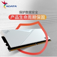 威剛（ADATA）威龍 D500白 6400 16G DDR5 XMP3.0高頻電腦臺式機內(nèi)存條