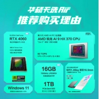 華碩天選Air 2024 FA401WV370日蝕灰 銳龍AI9HX-370 16G 1TB RTX4060-8G 電競(jìng)游戲本