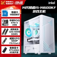 【酷睿i5 14600KF主機(jī)】酷睿i5 14600KF/B760/32G/1TB/RTX4060電競(jìng)游戲主機(jī)