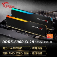芝奇（G.SKILL）烈焰槍 32GB(16Gx2) DDR5 6000 RGB 燈條-黑色/AMD EXPO/C28