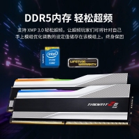 芝奇（G.SKILL）幻鋒戟XMP 64GB(32Gx2) DDR5 6800 A-Die/C34大容量臺式機(jī)RGB內(nèi)存燈條套裝